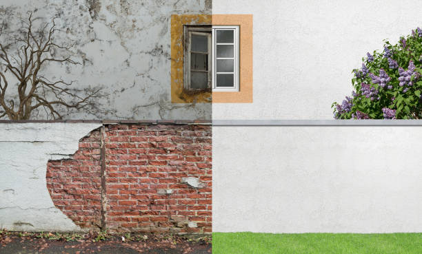 Professional Mold Removal in Wautoma, WI